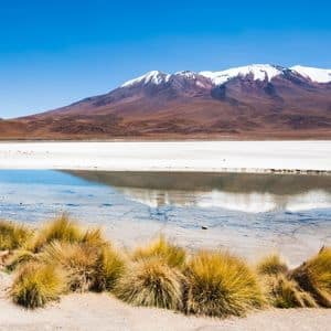 알티플라노 고원지대